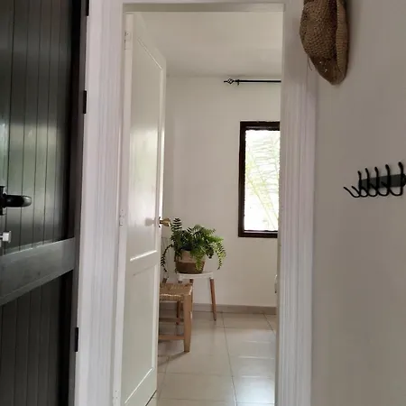 Buena Pace - Lovely In Appartement Corralejo