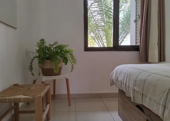 Buena Pace - Lovely In Apartment